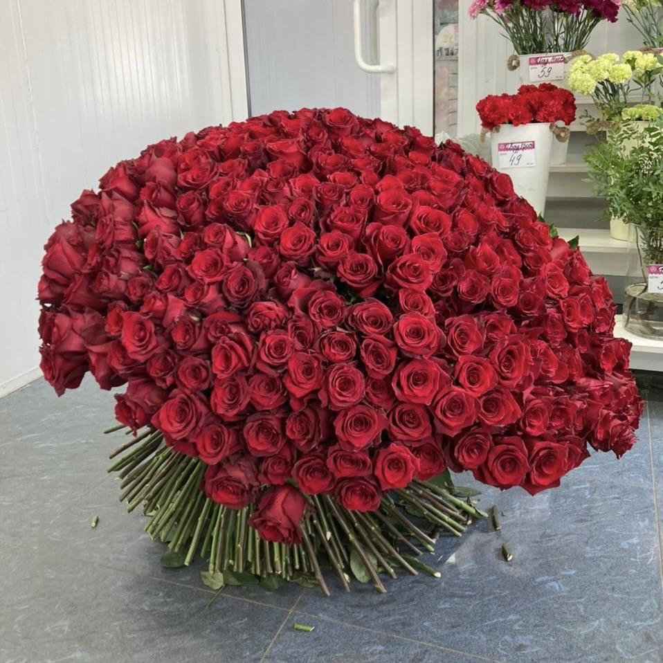 Букеты из красных роз 80 см (Эквадор) код товара   201192