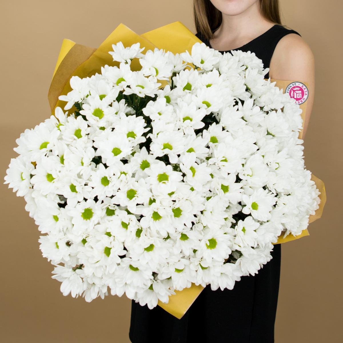 Хризантема белая (ромашка) articul   2988