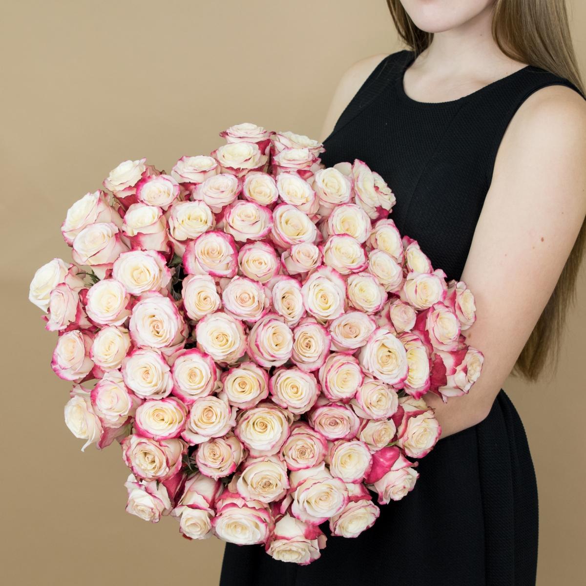 Розы красно-белые (40 см) Эквадор артикул букета  498