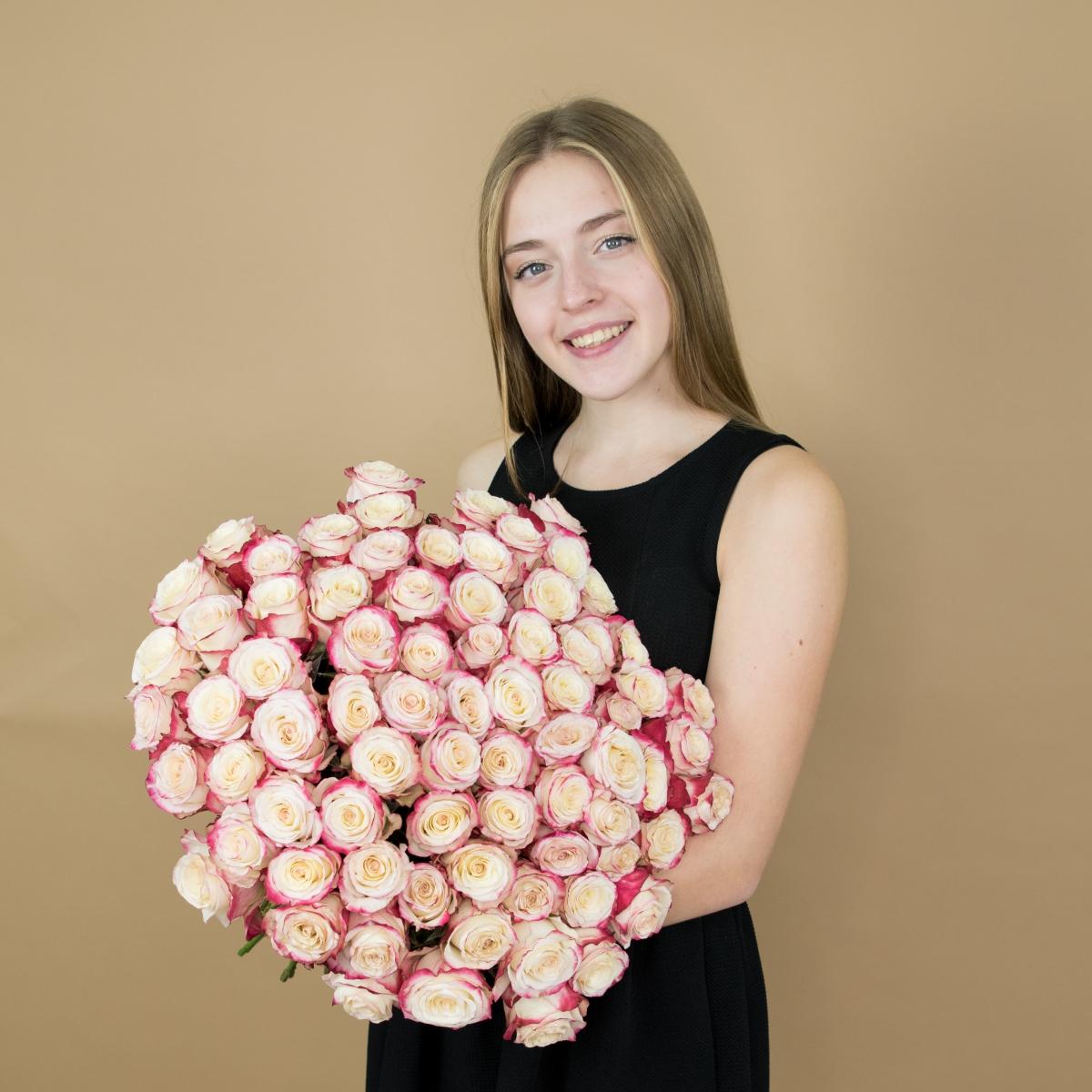 Розы красно-белые (40 см) Эквадор артикул букета  498