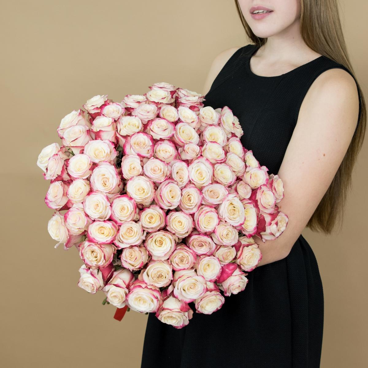 Розы красно-белые 101 шт. (40 см) articul: 88644