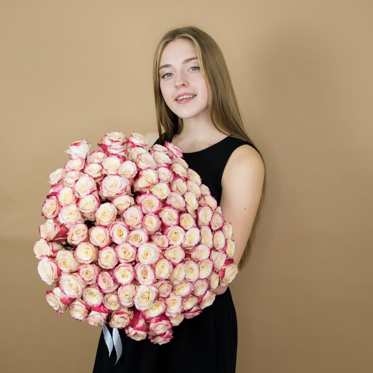 Розы красно-белые 101 шт. (40 см) articul: 88644