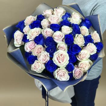 Белая и Синяя Роза 51шт 70см (Эквадор) код товара: 113876